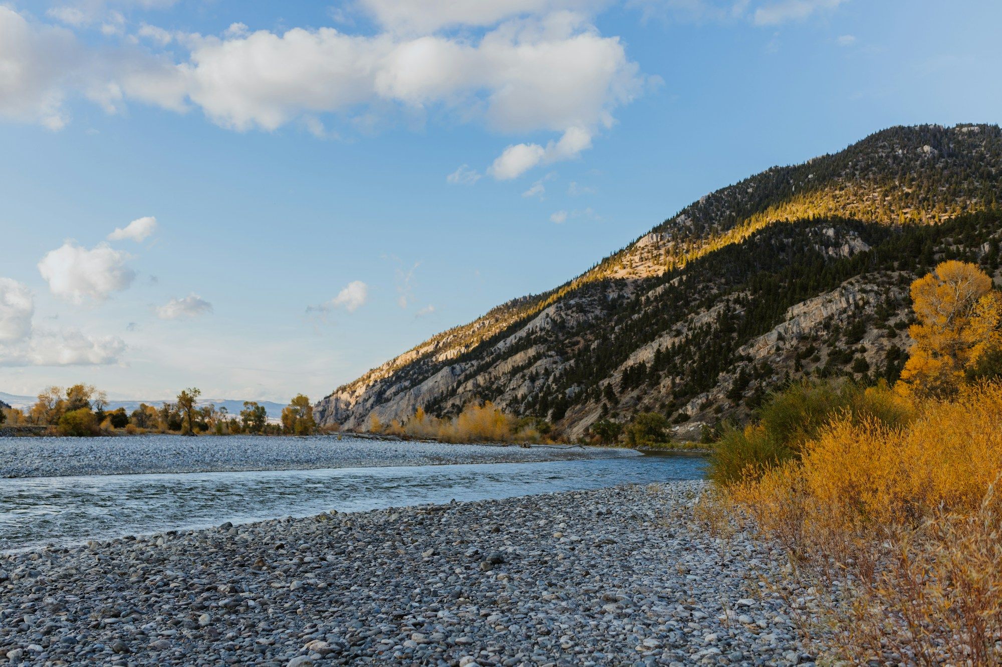 The Yellowstone River at Livingston, Montana, in fall