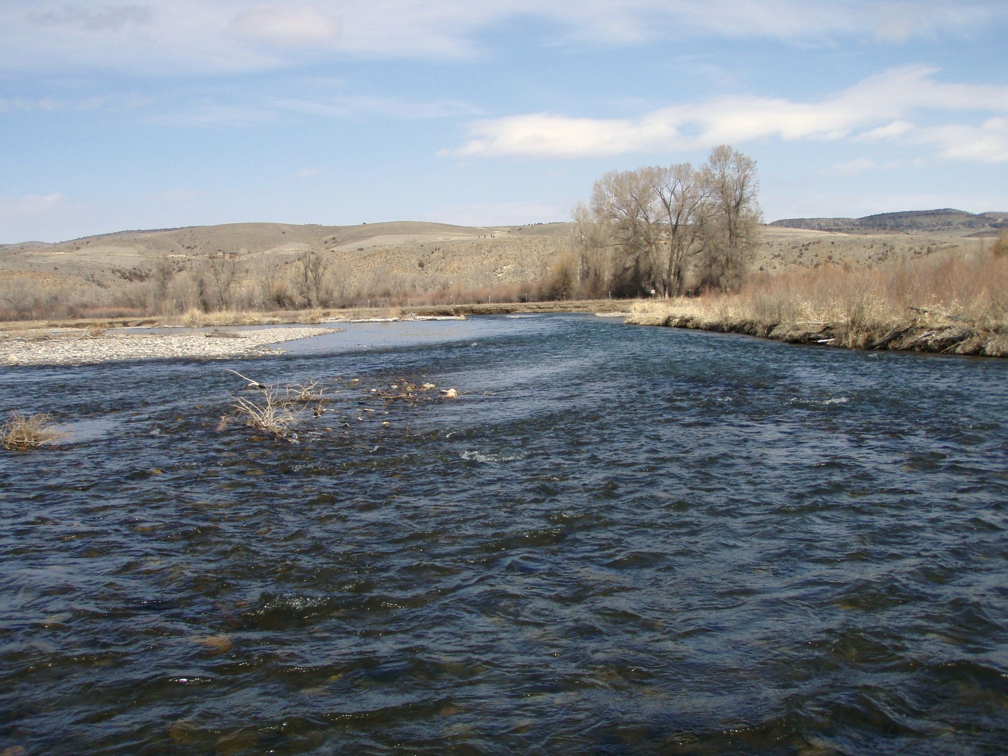 The lower Gallatin River near Manhattan, Montana